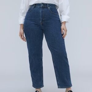 Everlane Curvy Way High Jean. Vintage Indigo. Size 29 reg.